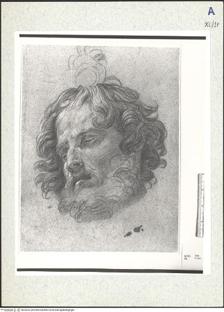 Vorderseite von bh333476_recto