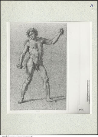 Vorderseite von bh333553_recto