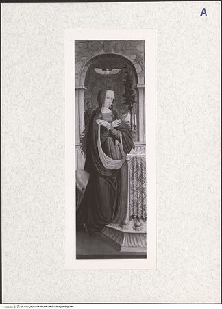 Vorderseite von bh333739_recto