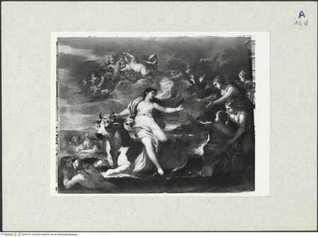 Vorderseite von bh333751_recto