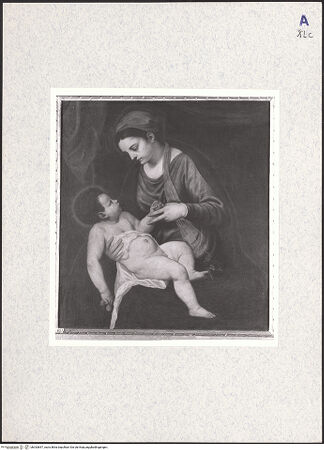 Vorderseite von bh333847_recto