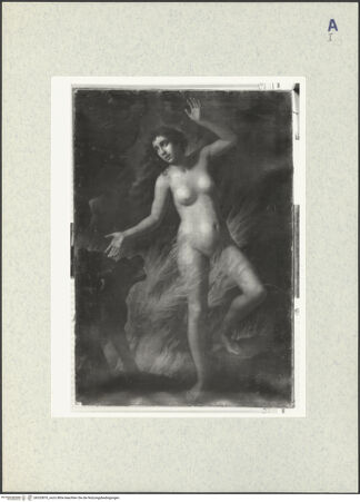 Vorderseite von bh333870_recto