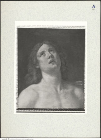 Vorderseite von bh333882_recto