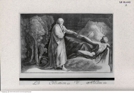 Vorderseite von Landesbildstelle Rheinland [http://creativecommons.org/publicdomain/mark/1.0/] Die Erschaffung des Adam (Cabinet Praun) - , bh334134. Foto.