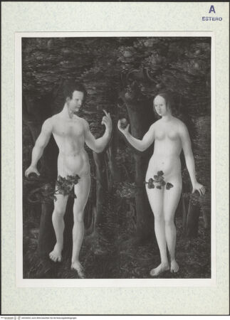 Vorderseite von bh334202_recto