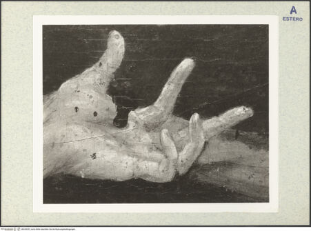 Vorderseite von bh334223_recto