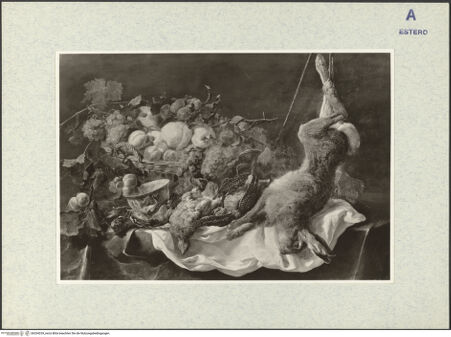 Vorderseite von bh334239_recto