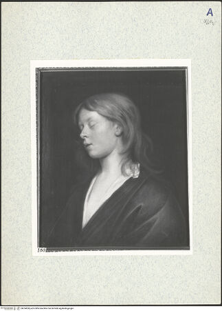 Vorderseite von bh334268_recto