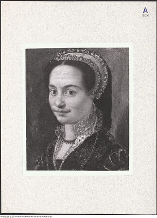 Vorderseite von bh334276_recto