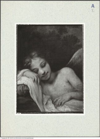 Vorderseite von bh334378_recto