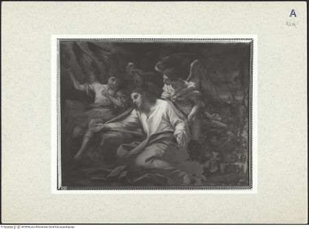 Vorderseite von bh334396_recto