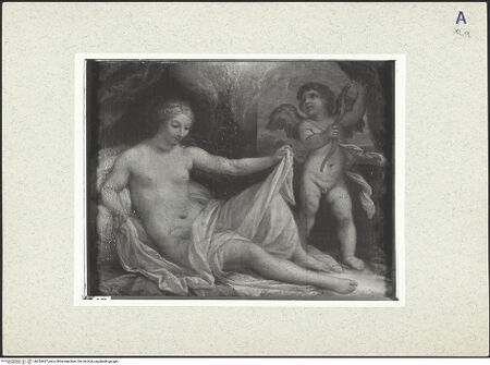 Vorderseite von bh334427_recto