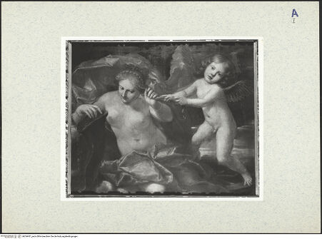 Vorderseite von bh334431_recto