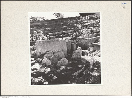 Vorderseite von bh334471_recto