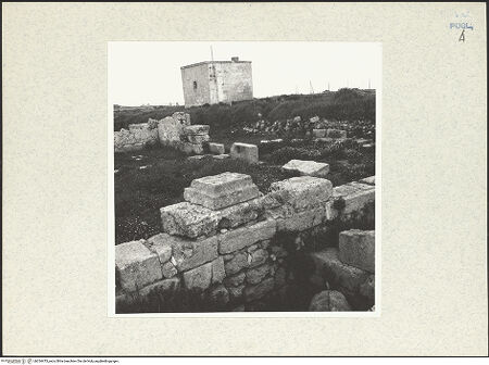 Vorderseite von bh334473_recto