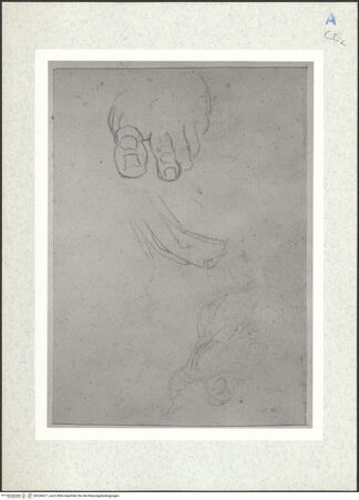 Vorderseite von bh334617_recto