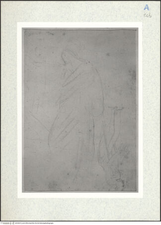 Vorderseite von bh334619_recto