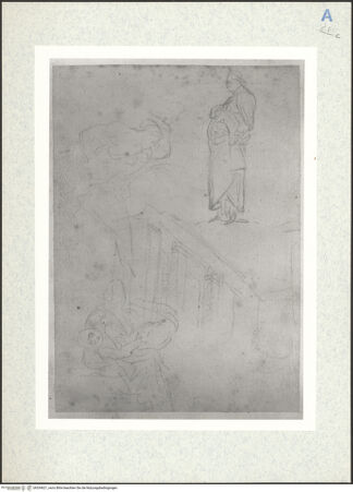 Vorderseite von bh334621_recto