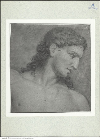 Vorderseite von bh334638_recto