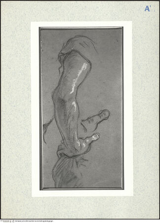 Vorderseite von bh334643_recto