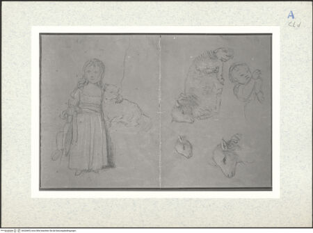 Vorderseite von bh334693_recto