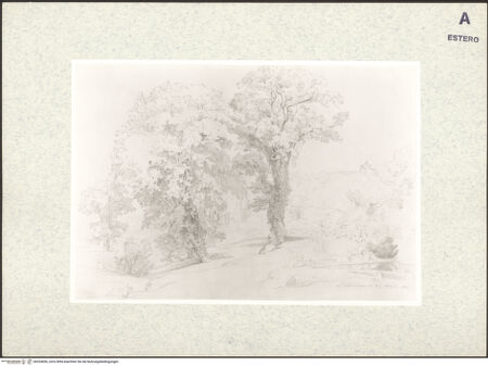 Vorderseite von bh334696_recto