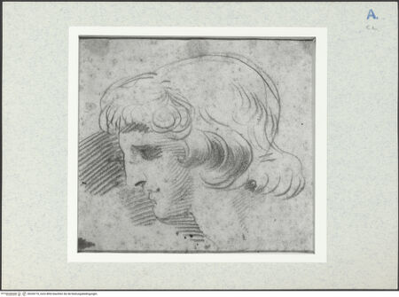 Vorderseite von bh334710_recto