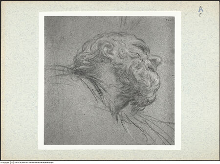 Vorderseite von bh334716_recto