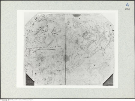 Vorderseite von bh334721_recto