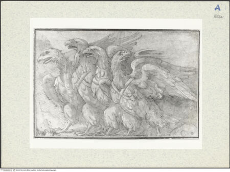 Vorderseite von bh334760_recto