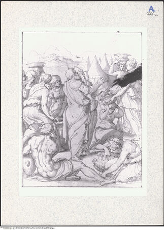 Vorderseite von bh334768_recto