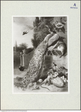 Vorderseite von bh334978_recto