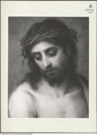 Vorderseite von bh334991_recto