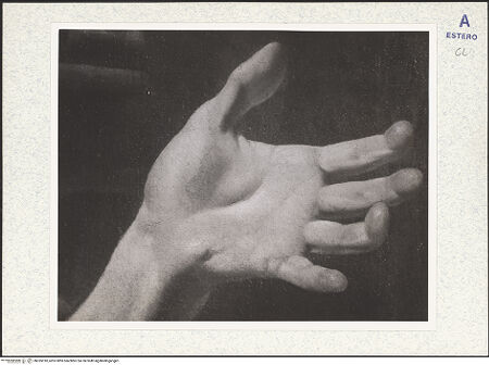 Vorderseite von bh335018_recto