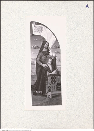 Vorderseite von bh335059_recto