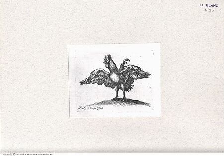 Vorderseite von bh335280