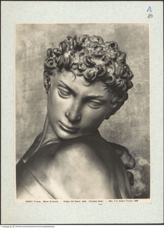 Vorderseite von bh335495_recto