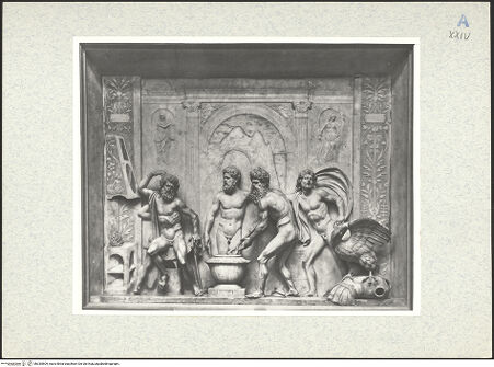 Vorderseite von bh335509_recto