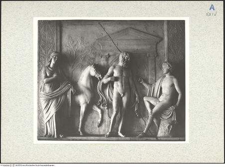 Vorderseite von bh335512_recto