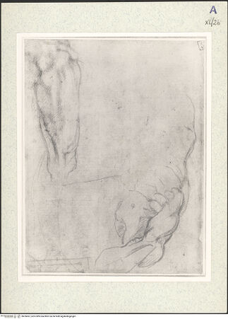 Vorderseite von bh336067_recto