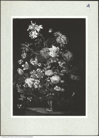 Vorderseite von bh336084_recto