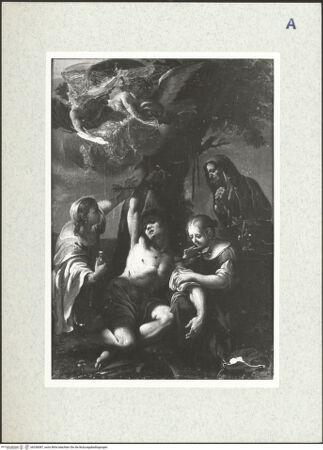 Vorderseite von bh336087_recto