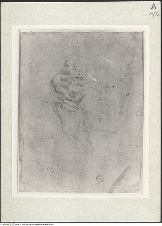 Vorderseite von bh336139_recto