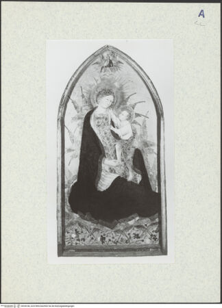 Vorderseite von bh336186_recto