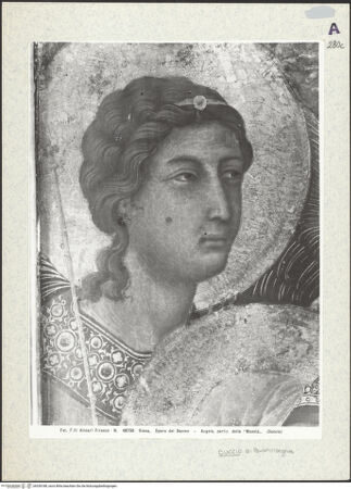 Vorderseite von bh336188_recto