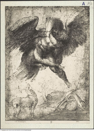 Vorderseite von bh336196_recto