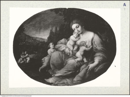 Vorderseite von bh336572_recto