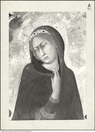 Vorderseite von bh336586_recto