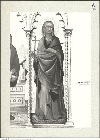 Vorderseite von bh336591_recto