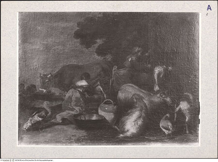 Vorderseite von bh336638_recto